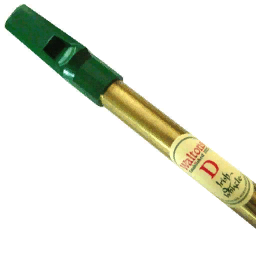 Tin Whistle D